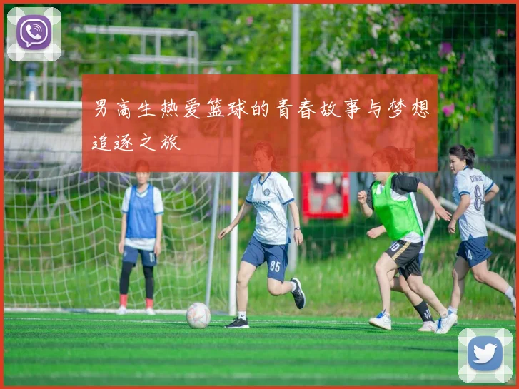 男高生热爱篮球的青春故事与梦想追逐之旅