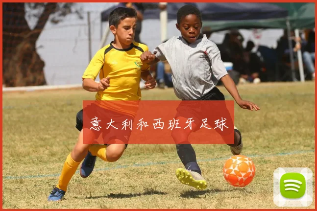 意大利和西班牙足球