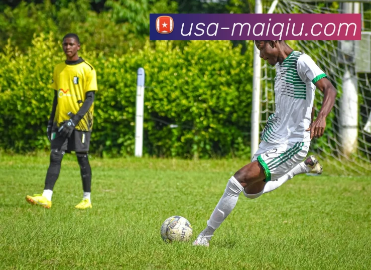 专业体育赛事投注平台服务体系